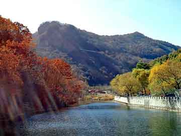 新澳天天开奖资料大全旅游团，长安欧诺论坛